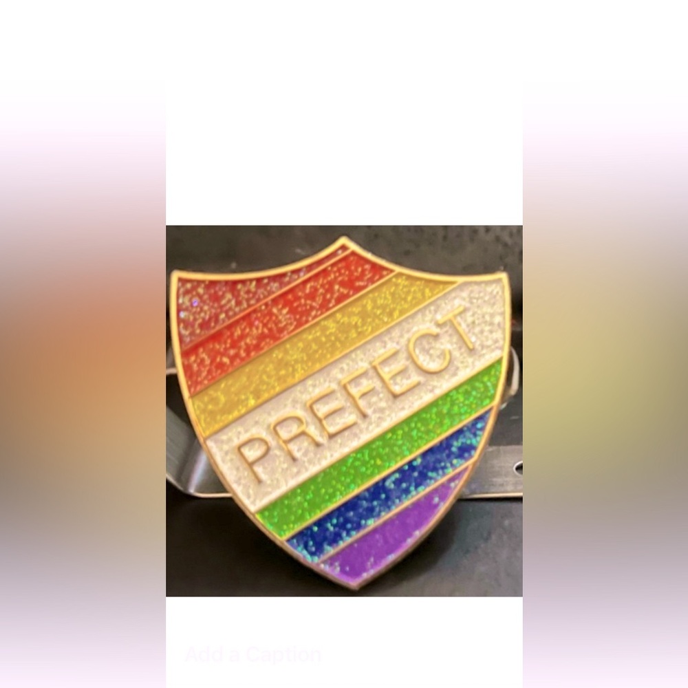 Rainbow Prefect Badge Lapel, Bag, Purse Clothes Pin with Butterfly Clasp Closure